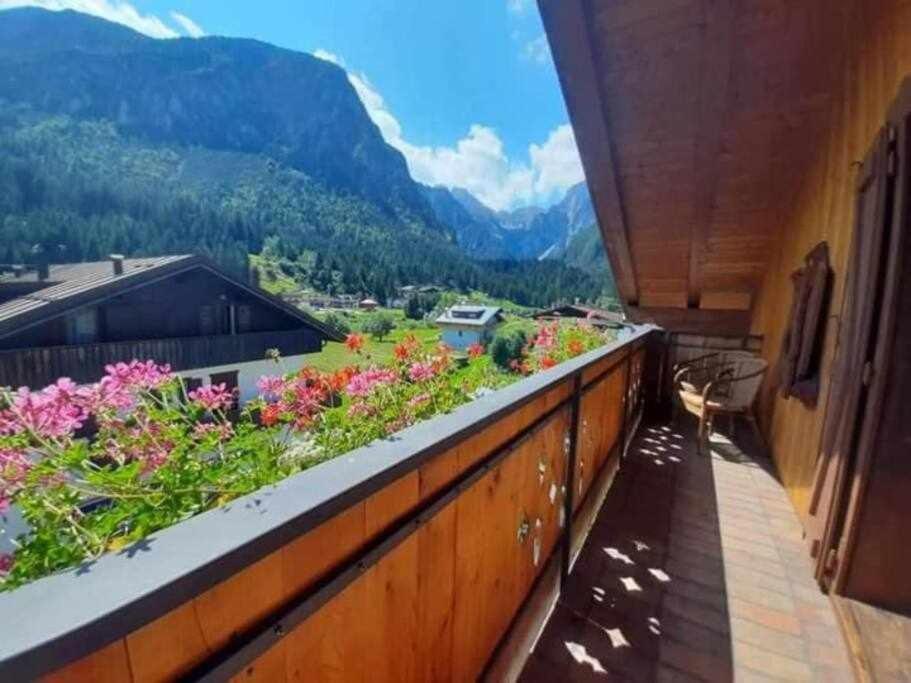 La Mansarda In The Dolomites Jacuzzi Apartment Santo Stefano Di Cadore Exterior foto